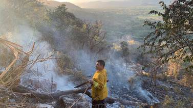 Segundo incendio forestal del año consumió 20 hectáreas  en Nicoya