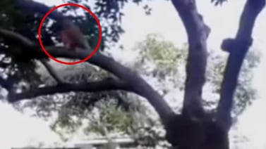 (Video) Hombre graba duende en el patio de su casa
