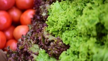 Bien sanitos: Motivos para incluir ensaladas en la alimentación diaria (Parte1)