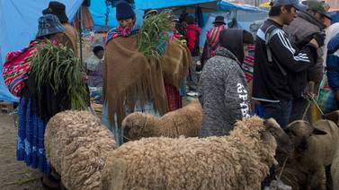 Feria de animales recuerda en Bolivia el Domingo de Ramos 