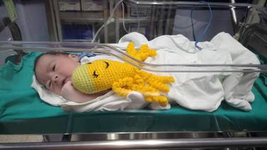 Pulpos tejidos abrazan y tranquilizan a los bebitos prematuros del hospital Tomás Casas