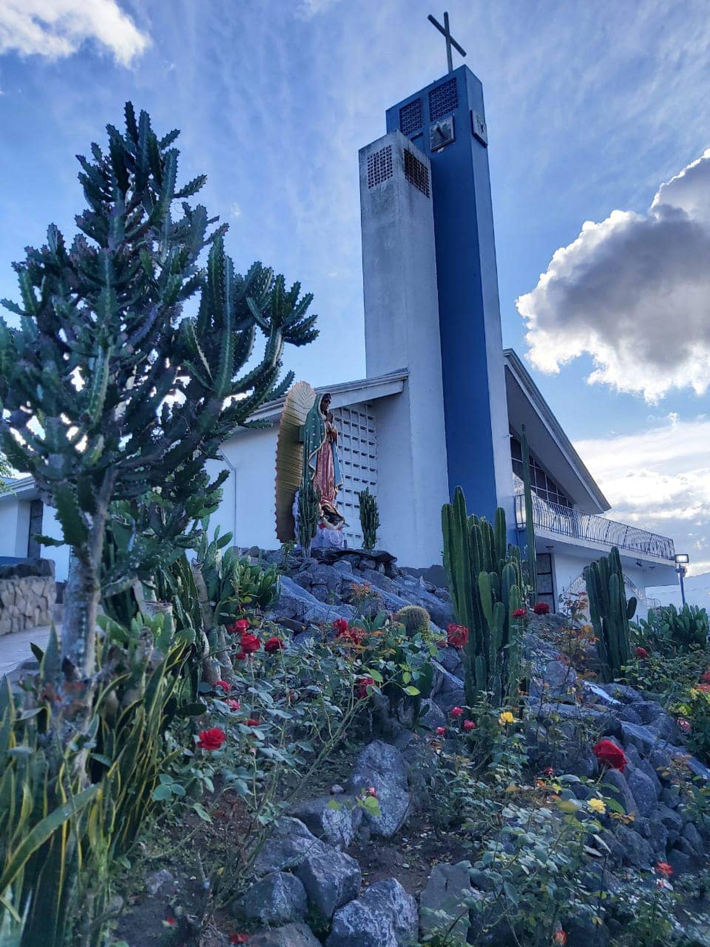 La burra Chepita, que por 11 años cargó la imagen del Señor del Triunfo durante la procesión del Domingo de Ramos en San José, lo hará este 2022 en la parroquia de Guadalupe de Cartago