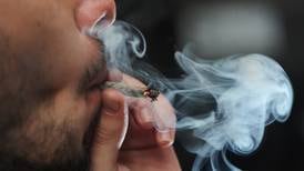 ¿Por qué la marihuana afecta más a los jóvenes?