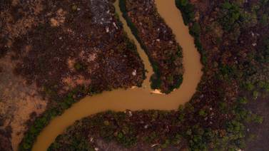Fuego causa devastación y muerte en el Pantanal brasileño