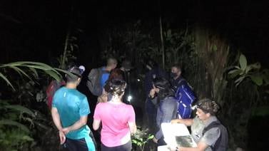 Vivazos cobran hasta ¢50 mil por cabeza en tour ilegal al volcán Arenal 