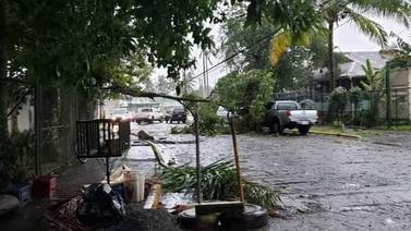 Paso de la onda tropical #7 botó árboles y rótulos en Limón