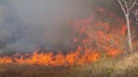 Bomberos luchan contra incendio forestal en la segunda provincia más grande de Costa Rica