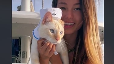 Este es Rusty, el gato al que le gusta el agua y navegar (video)