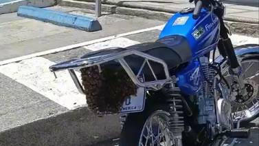 Vea el susto que se llevó un motociclista por culpa de unas abejas