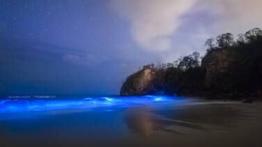 Playa en Guanacaste causa asombro por hermosas luces