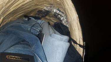 (Video) Banda usaba bolsos forrados en papel aluminio para robar en comercios