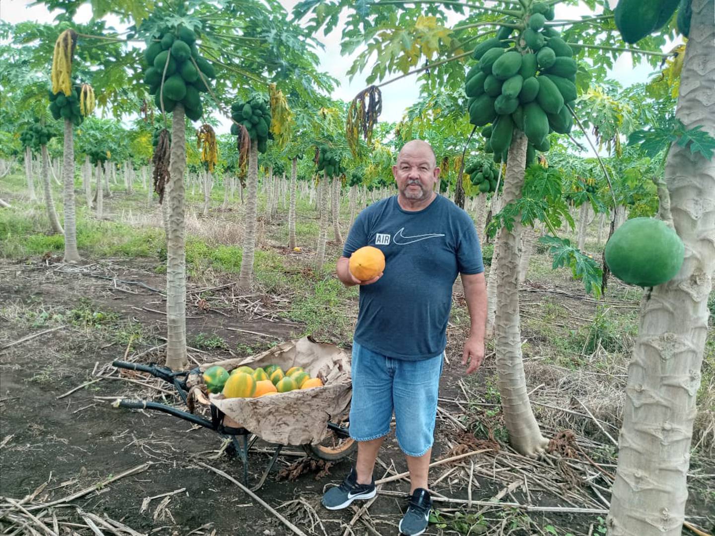 Juan Emilio Castro Castro, de 55 años, se encontró un entierro  porque estaba limpiando las zonas verdes de la propiedad que habían comprado en Miramar de Puntarenas