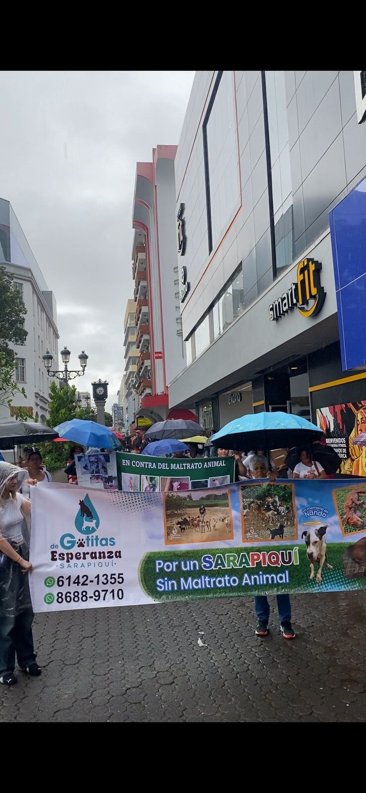 Valeria Loaiza lucha por los derechos de llos animales