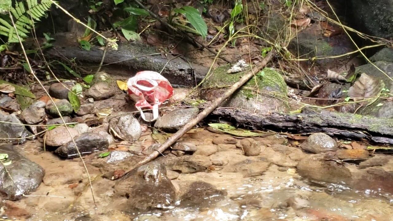 Ecólogo Ulises Corrales es encontrado sin vida dentro de la reserva Dendrobates en San Ramón de Peñas Blancas. Foto Edgar Chinchilla.
