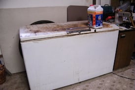 Hallan muertos dos bebés dentro de un congelador en Francia