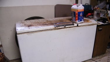 Hallan muertos dos bebés dentro de un congelador en Francia