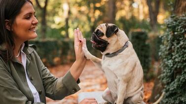 Este es el motivo por el que los perros se parecen a sus dueños, según la ciencia