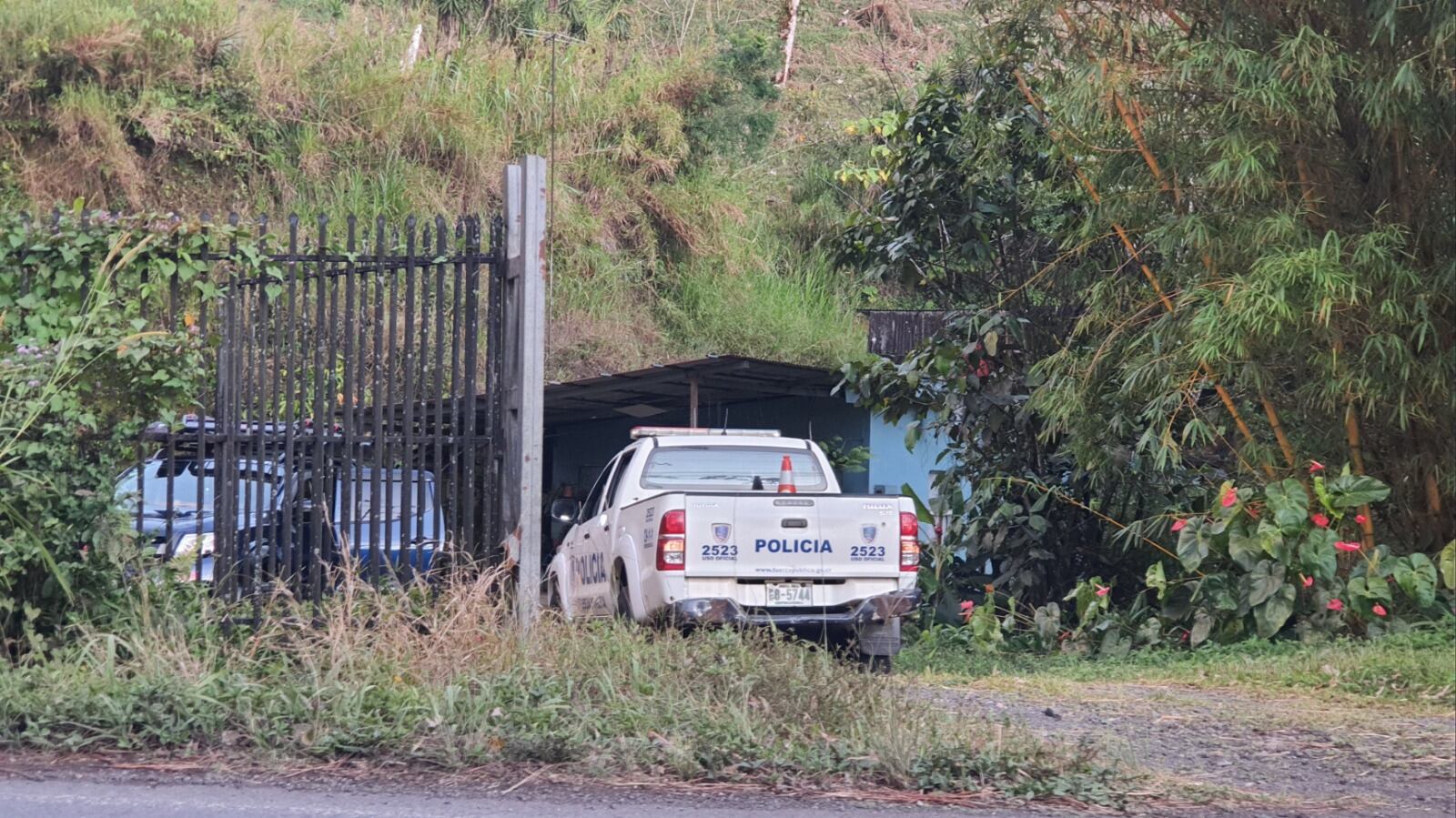 Vaca se sube al techo de una vivienda en San Carlos