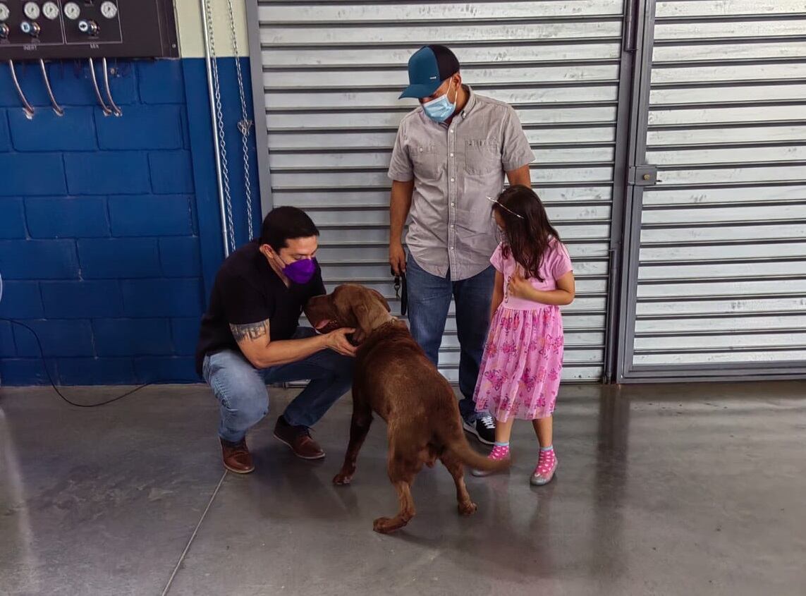 Jack es un perro de raza labrador que tiene 9 años de edad y que desde febrero pasado se convirtió en todo un milagro de la ciencia tica aplicada en el laboratorio Innovatio del Instituto Nacional de Aprendizaje (INA)
