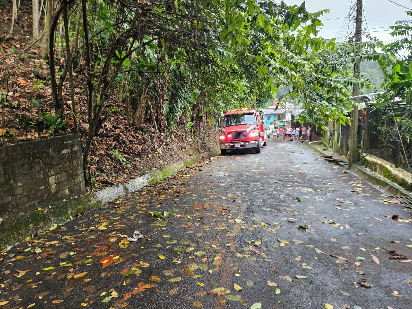 Una pequeñita de un año y cuatro meses, otras dos niñas de cinco años y ocho años; además de una adulta de aproximadamente 55 años sufrieron fuertes golpes al caer un árbol sobre la casa en la que estaban en Invu, Quepos. Foto: Bomberos