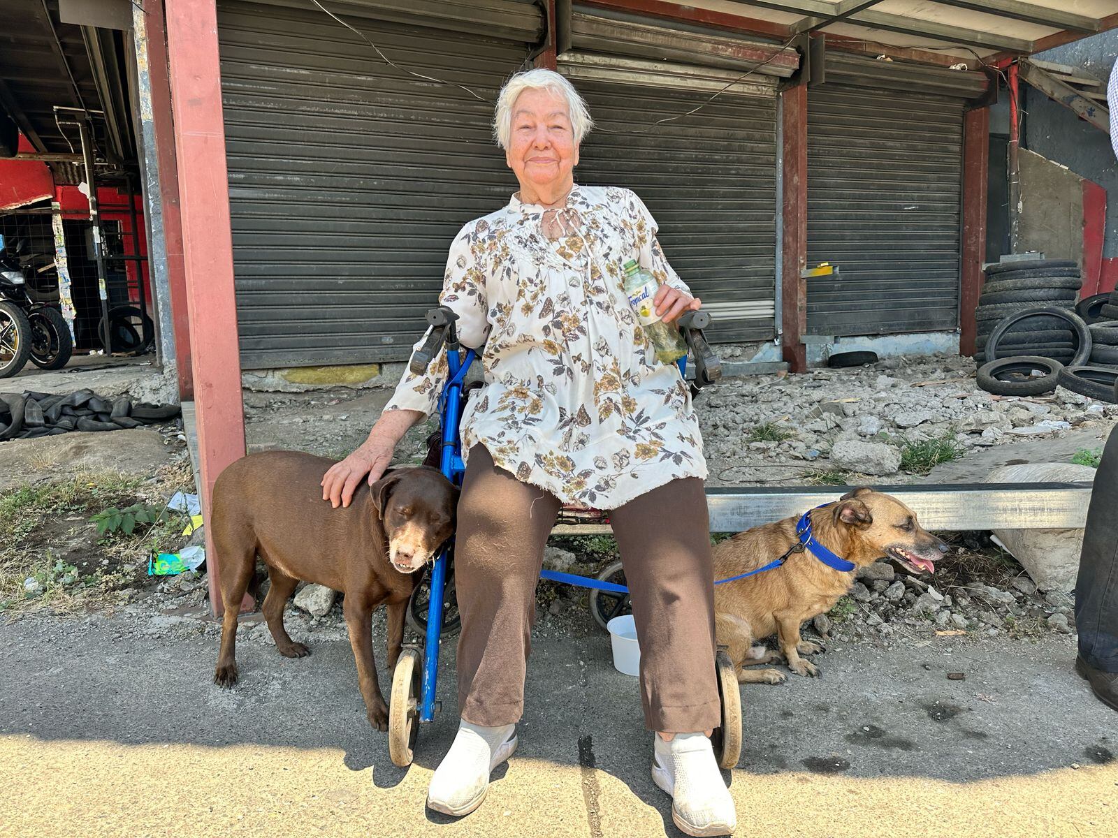 Abuelita y sus perritos fueron rescatados en incendio