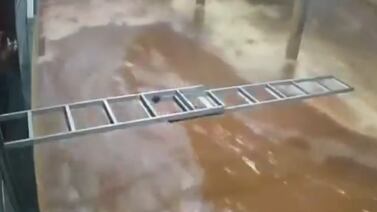 Vecinos no pudieron salvar a influencer que murió arrastrada por inundación