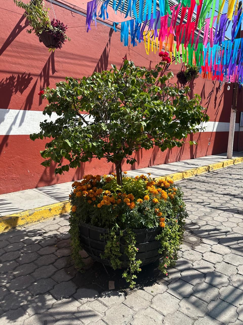 El pueblito es demasiado colorido, por donde quiera que se le vea.