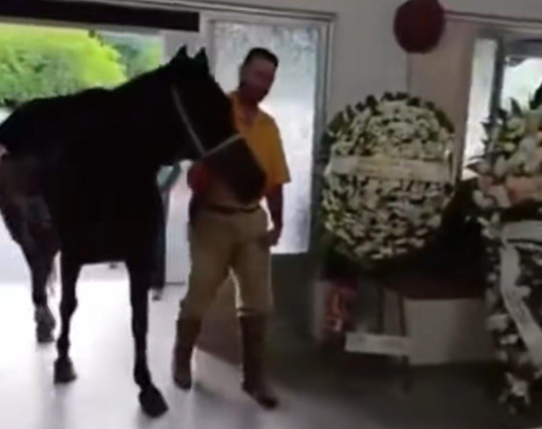 Yegua Nina se acerca al ataúd abierto de su dueño durante funeral en Brasil.