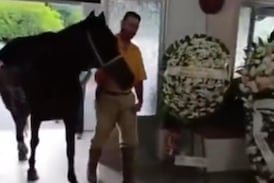 Conmovedor video muestra el sufrimiento de una yegua durante el funeral de su dueño