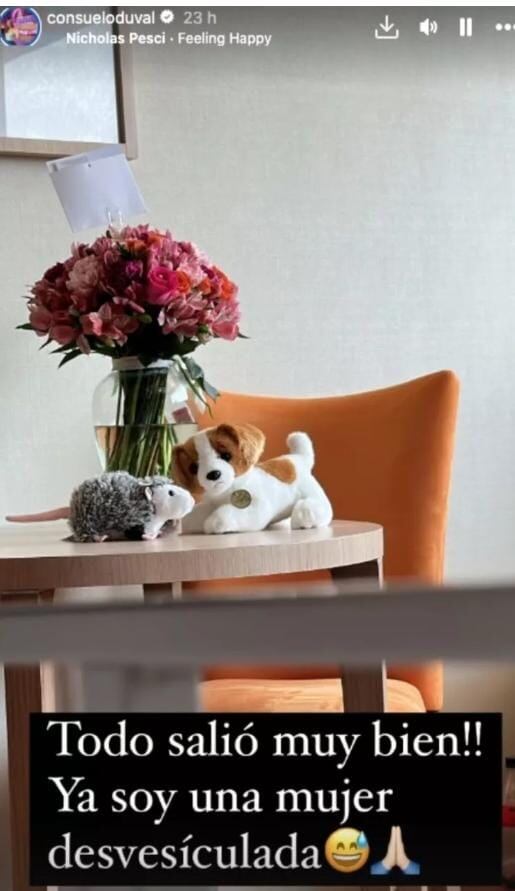 consuelo Duval familia p.luche estado de salud