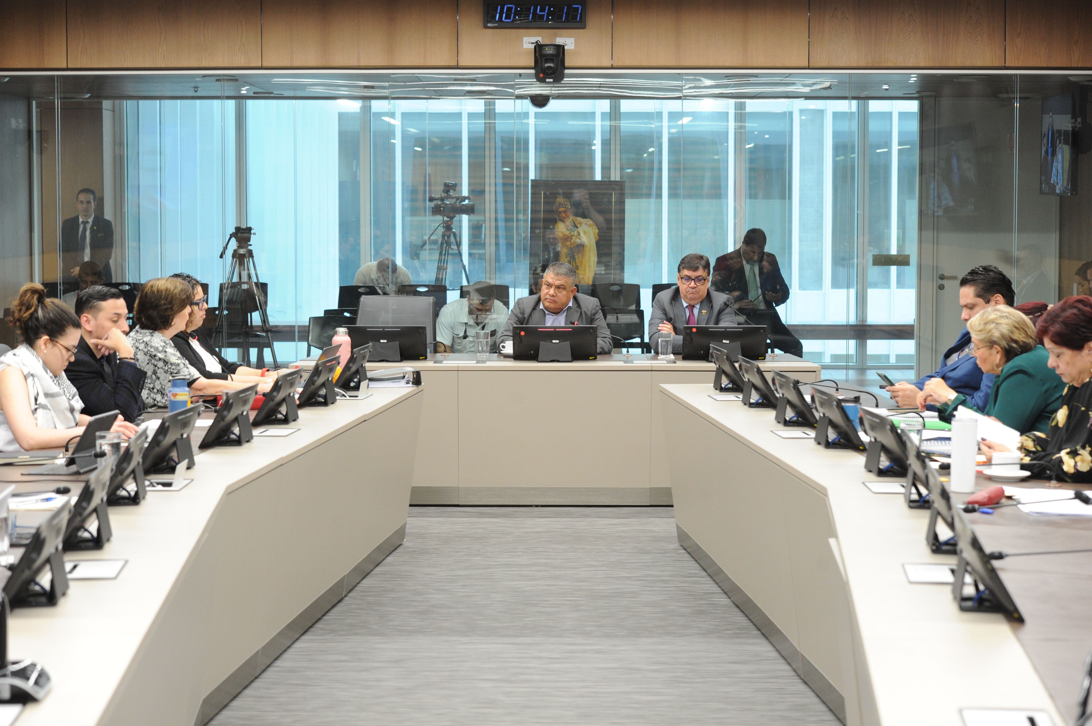 Compadece el Sr Jorge Torres director de la Dirección de Inteligencia y Seguridad ( DIS ).