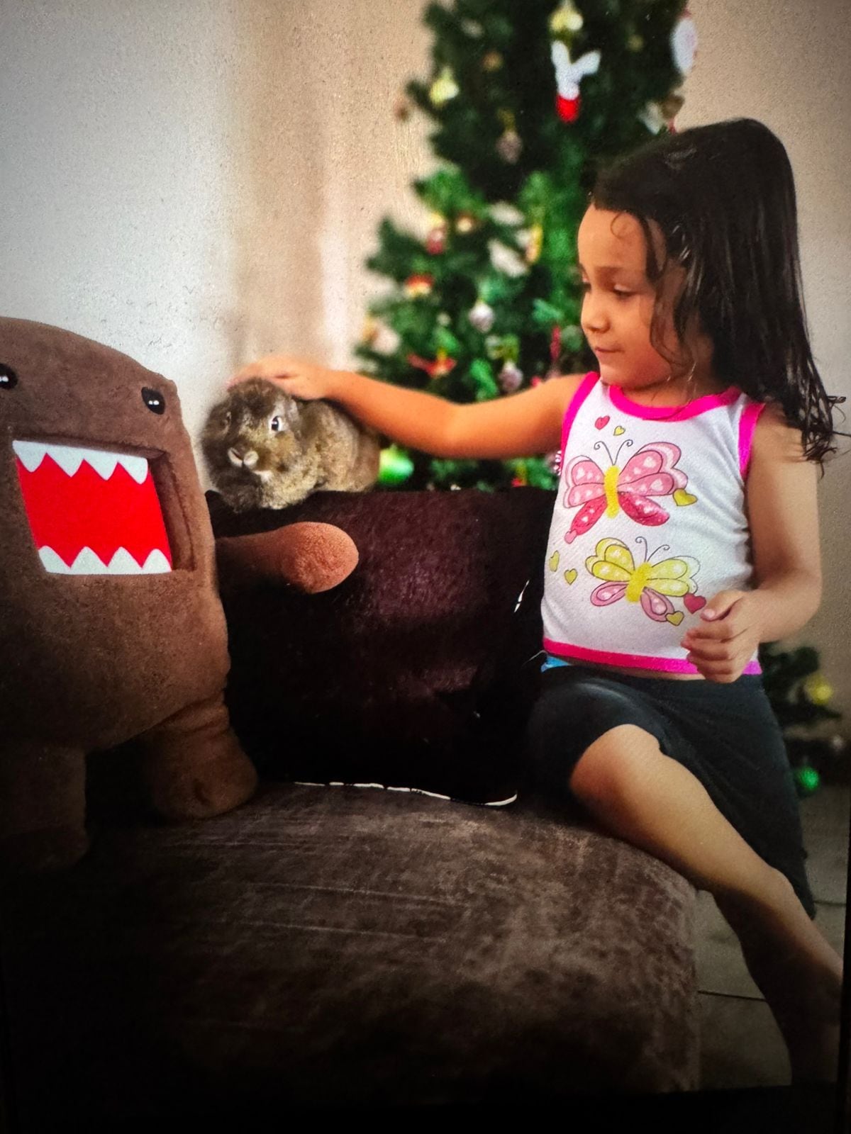 Tania Flores es de Villa Bonita de Alajuela y es la mamá humana del gatico Muérdago