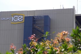 ICE rematará 163 vehículos: así puede participar en la subasta