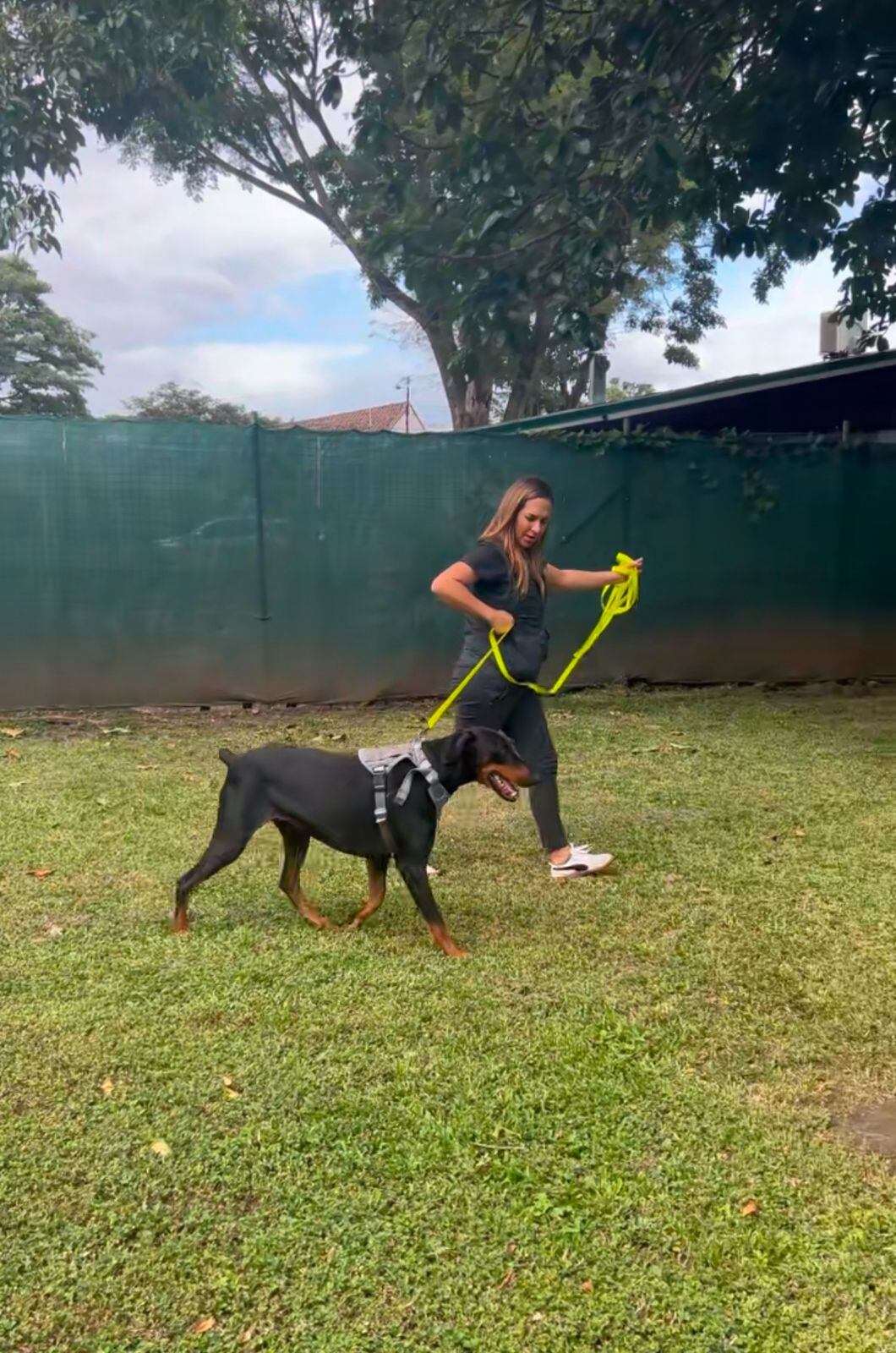 La doctora Gabriela Pacheco Guier, veterinaria y máster en etología clínica (rama de la veterinaria que estudia la conducta animal), lo dice sin rodeos: “El 80% de los casos que atiendo son por agresión de un perro a un humano, y la mayoría de esos ataques ocurren dentro de casas