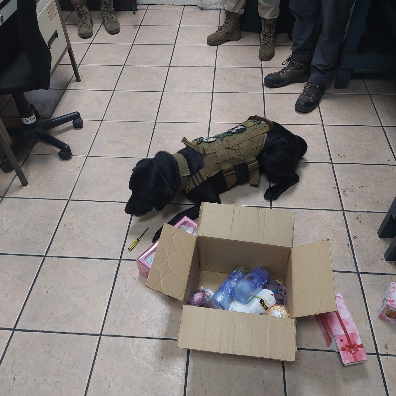 Decomisan medio kilo de cocaína dentro de candelas de colores. Foto MSP.
