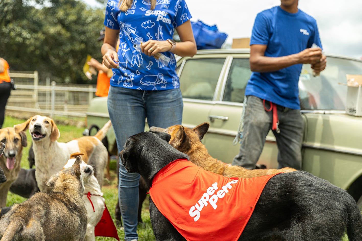 De la mano de Super Perro, que es 100% costarricense, Los Zumbis se disfrutan en familia y con las mascotas como protagonistas porque hasta ayudan a buscar en los mapas.