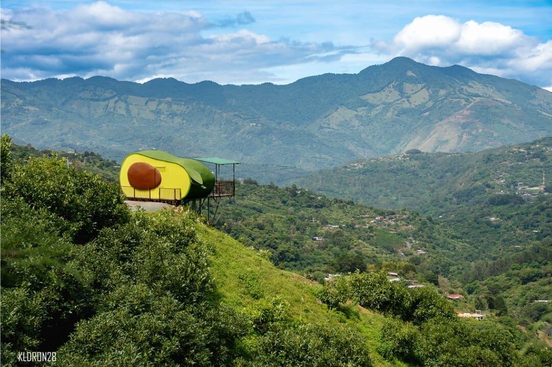 Aguacate de Ensueño