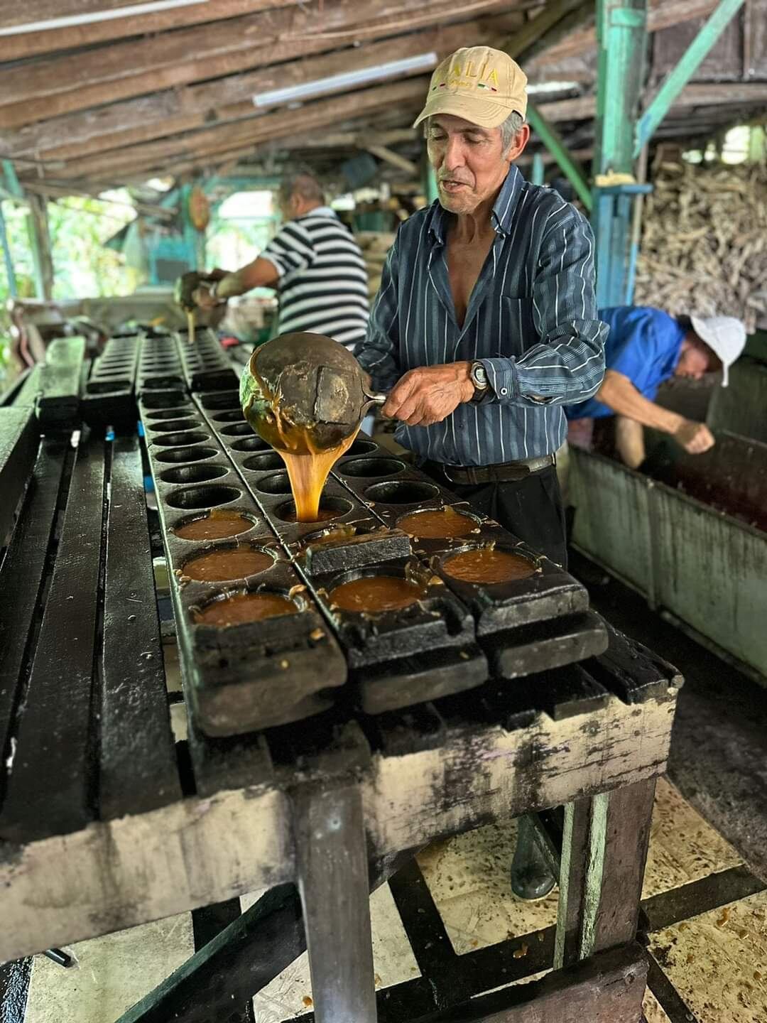 (Foto:Caminando entre amigos)