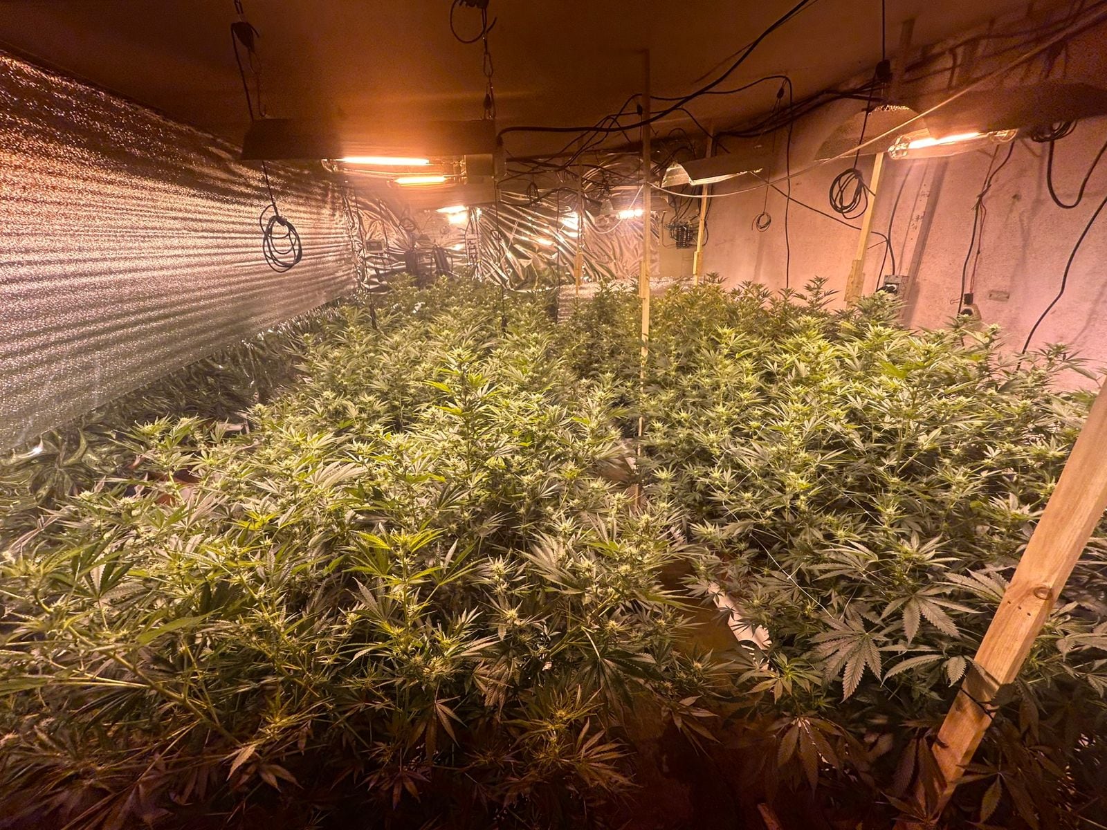 Detenidos por crimen de finqueros Carlos González Rodríguez Alexander y Gerardo Jiménez Vargas