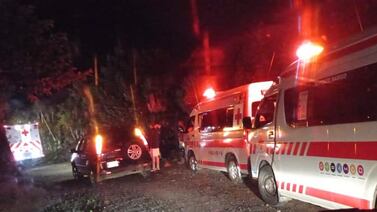 Un hombre pierde la vida al caer a un guindo