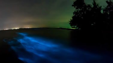 Experiencia Avatar en Costa Rica: así vivió nuestro equipo de “Conociendo a mi país” la magia de la bioluminiscencia