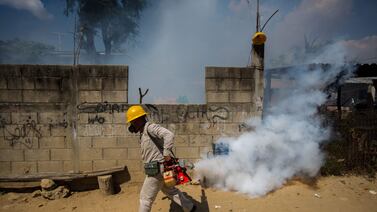 Ministerio de Salud confirma caso positivo de chikungunya en esta parte de Costa Rica
