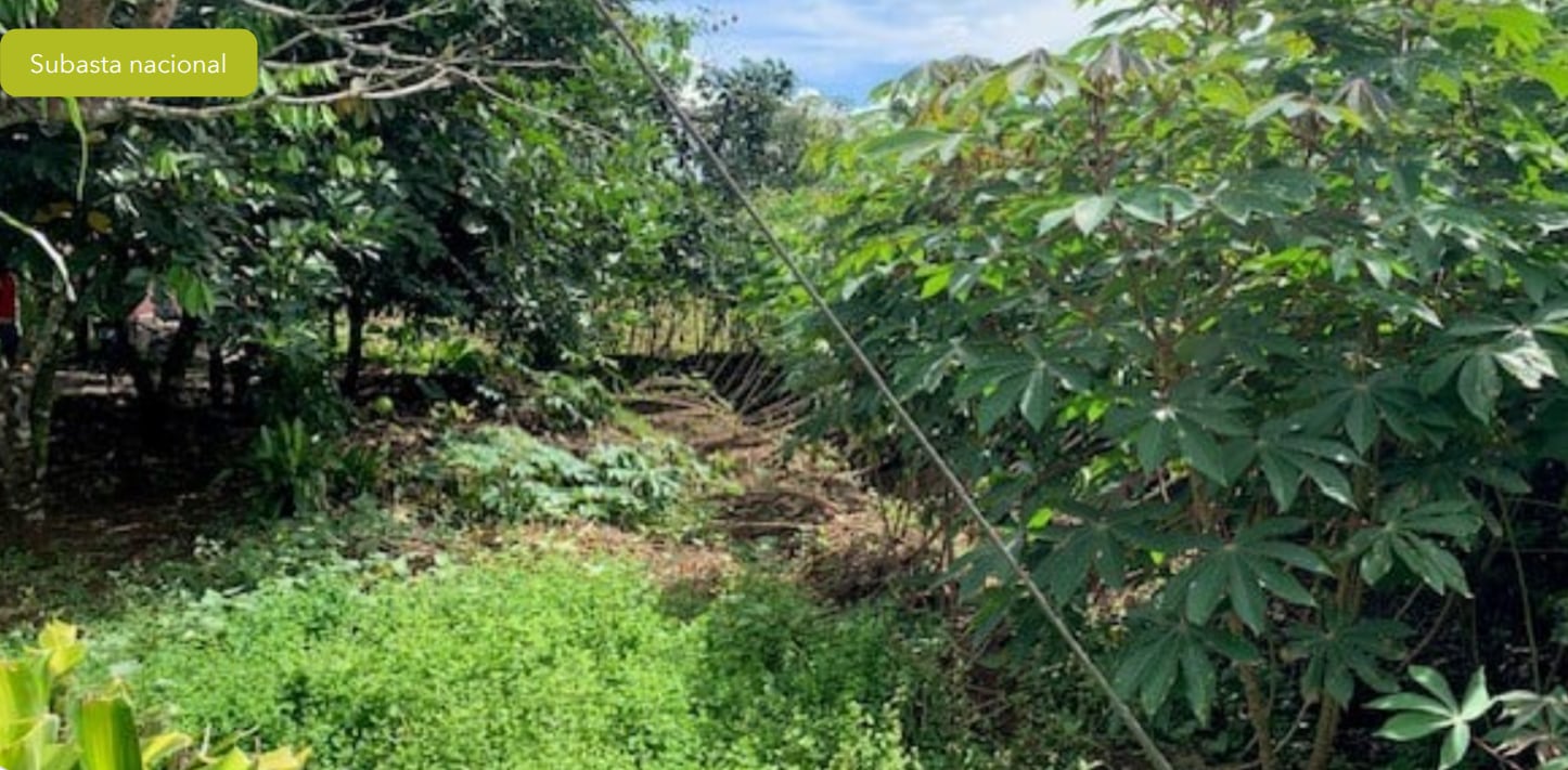 El Banco Nacional tiene varias casas y terrenos en subasta, así como en descuento.