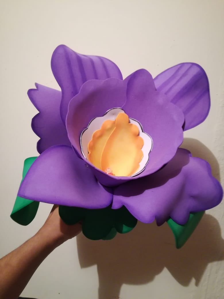 Biofaroles son los más pedidos este 2019 en Faroles Vargas