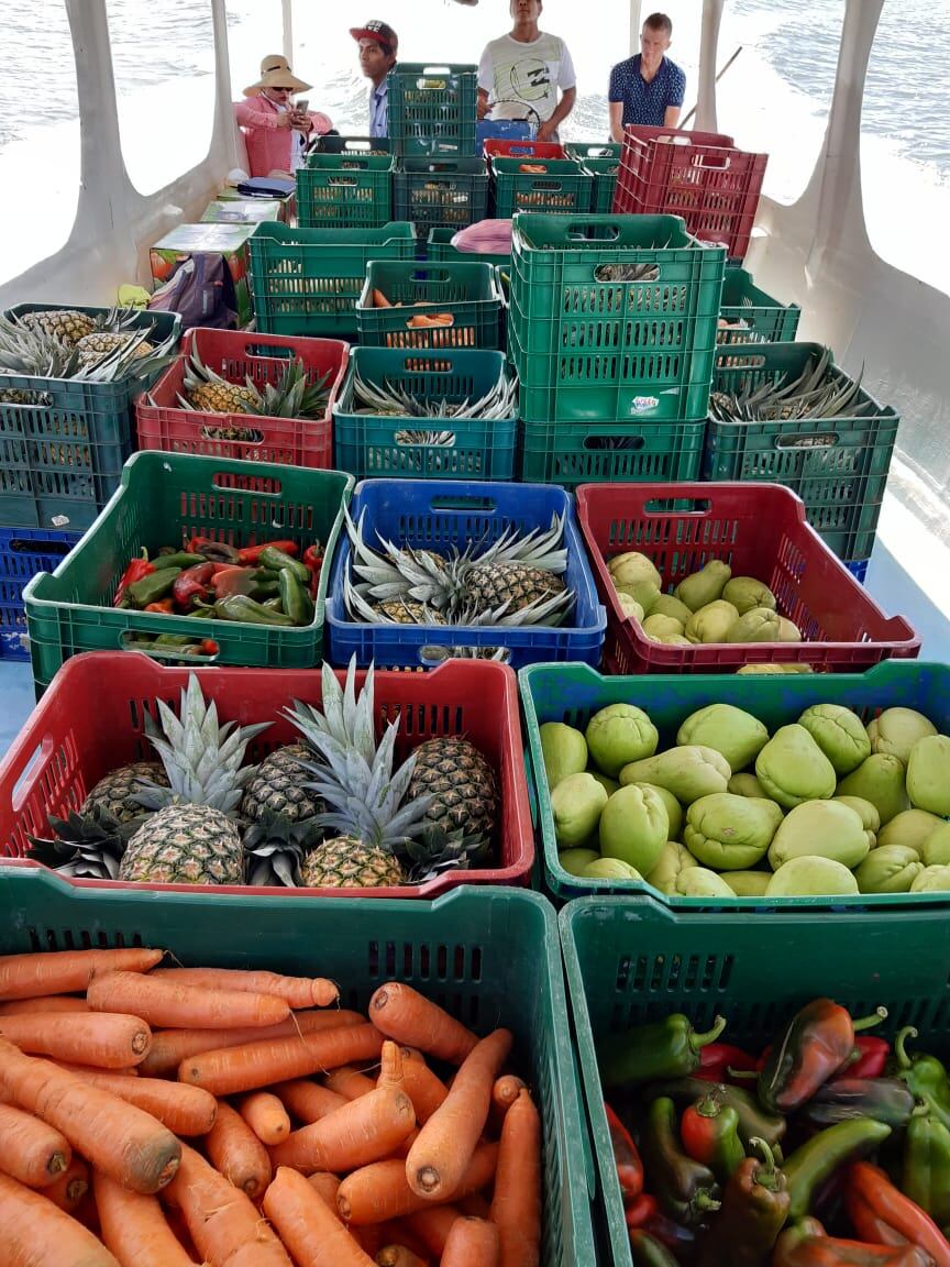 El Consejo Nacional de Producción (CNP) confirma que cumplió con la entrega de todos los paquetes de alimentación para 2.149 centros educativos en todo el país