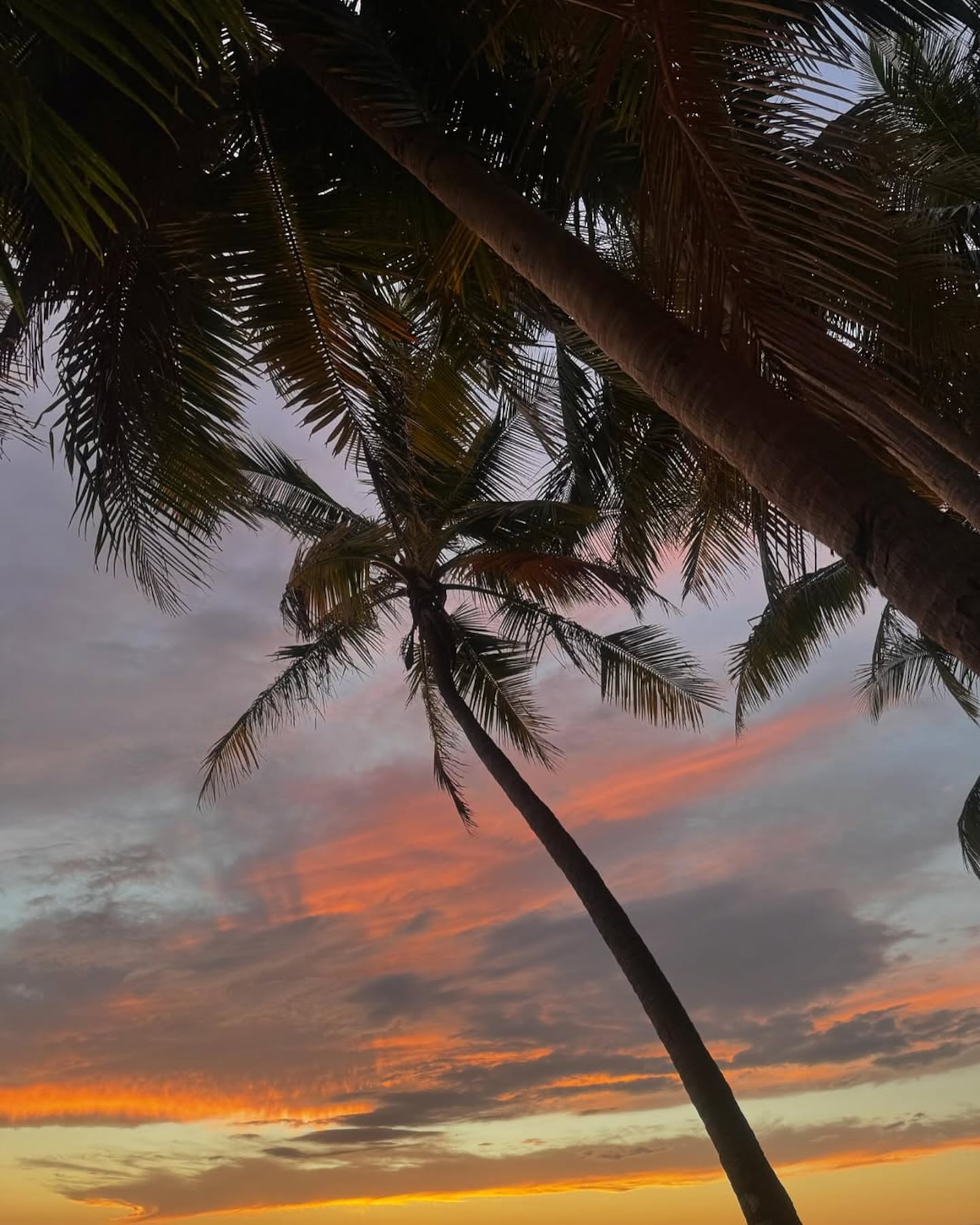 Valeria Rees deslumbró con su belleza y demostró por qué el rojo le ...