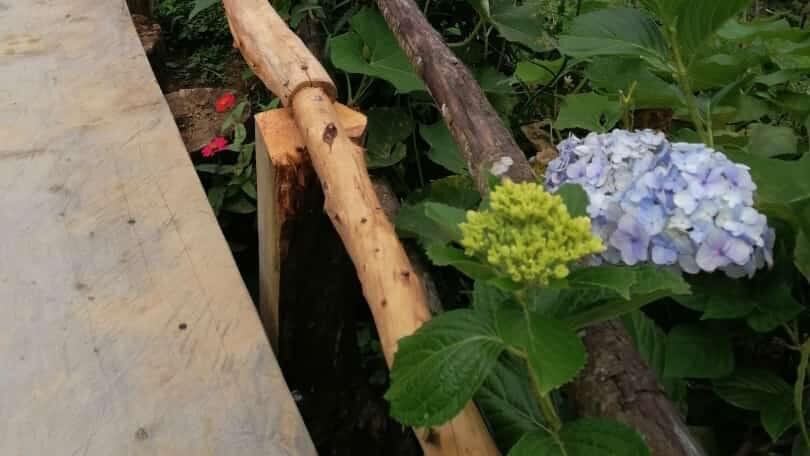 Durante el recorrido podrá apreciar maravillosas vistas y disfrutar de un rico desayuno.