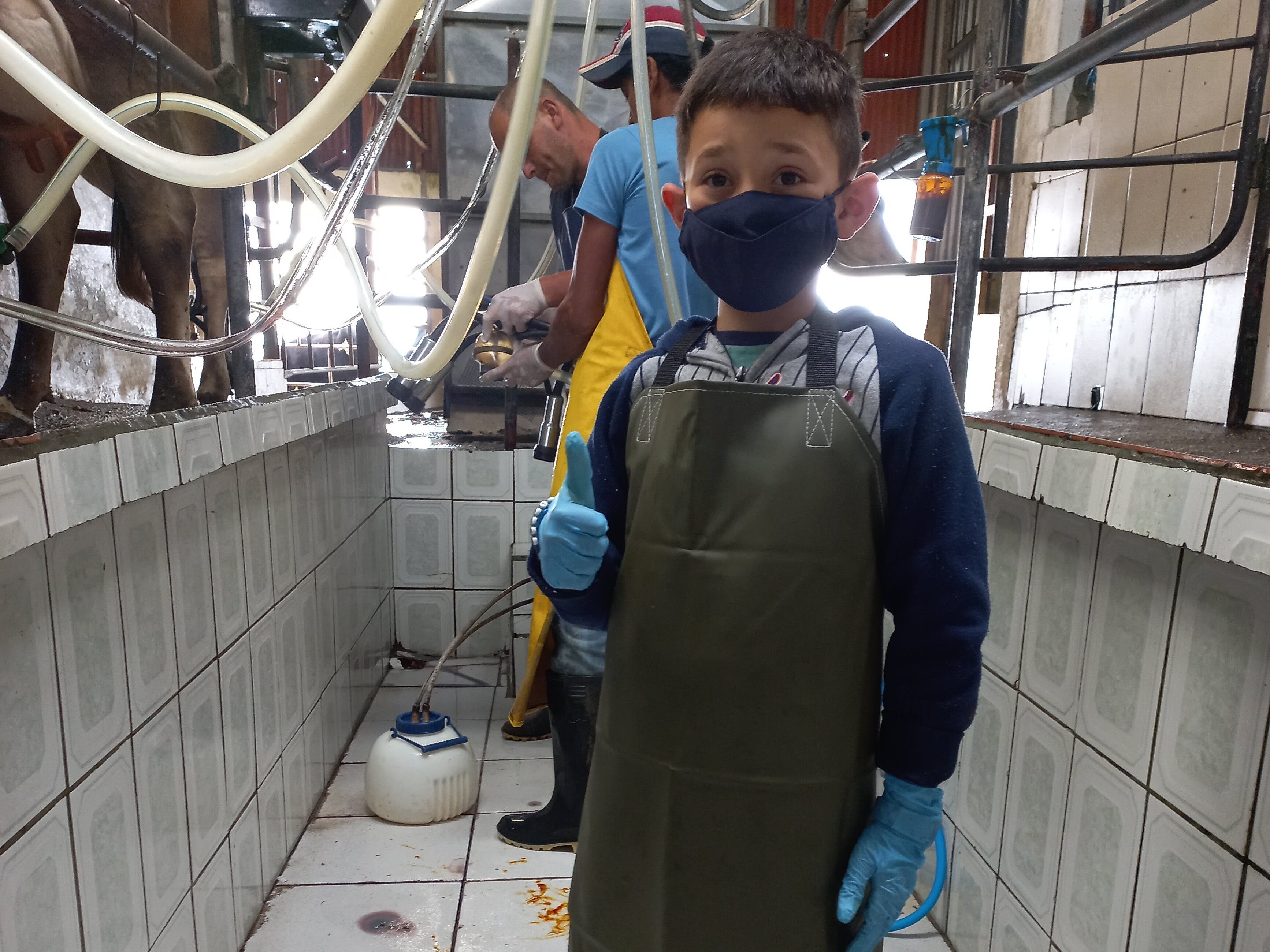 En el Día Mundial de la Leche, Alonso Rodríguez cuenta que no podría vivir si no es dedicándose a la ganadería. Cortesía.