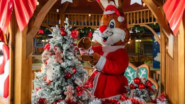 ¿Cuándo iniciará la Temporada de Sorpresas en Parque Diversiones y qué traerá este año?