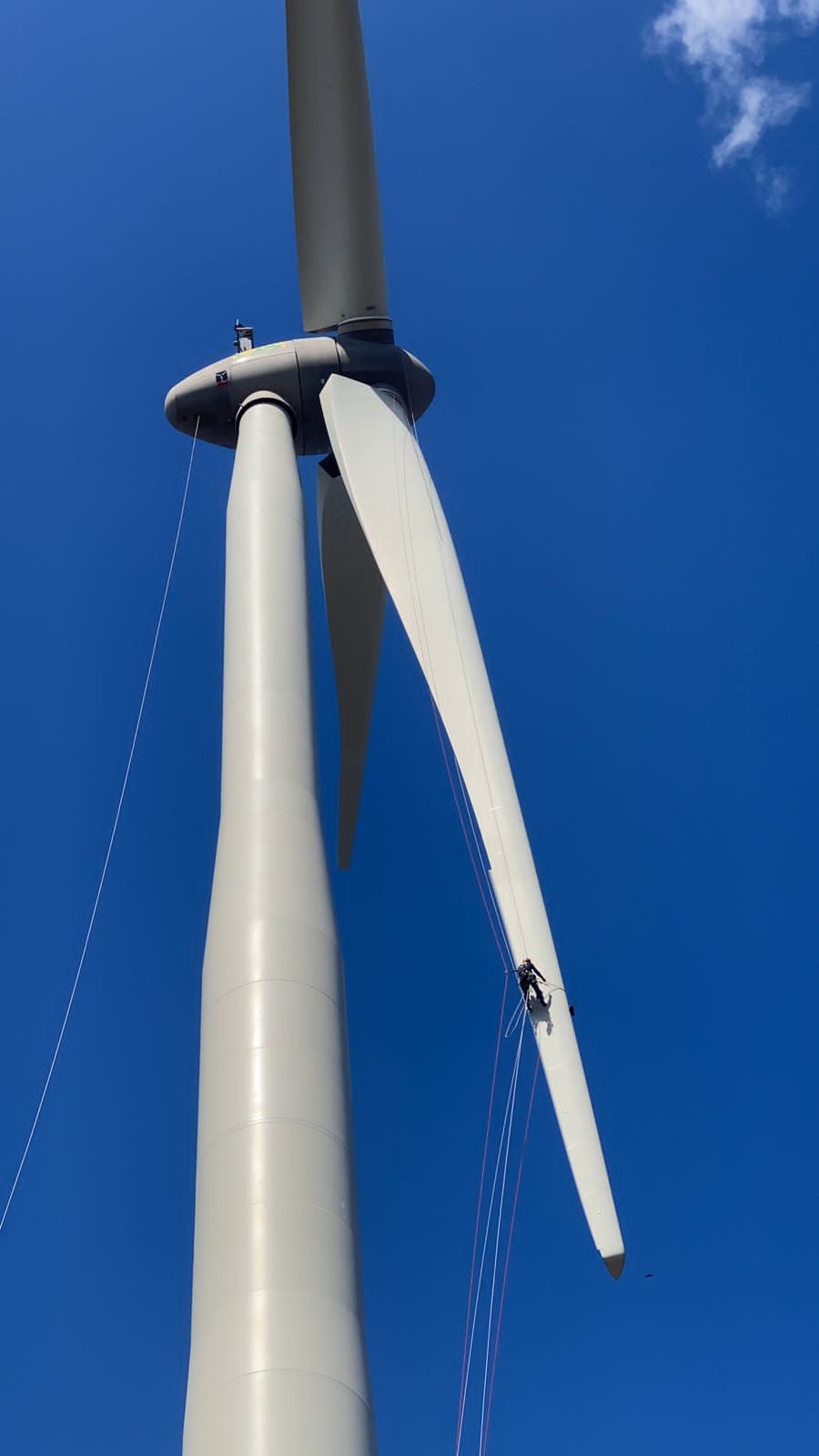 Félix Cabezas Ordoñez y Mauro Masis Solís, son técnicos que reparan y les dan mantenimiento a las torres eólicas propiedad de Coopeguanacaste y lo suyo es encaramarse hasta el puro cucurucho de esas torres cada vez que se necesita